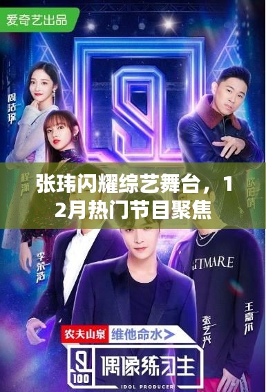 张玮综艺舞台大放异彩，12月热门节目瞩目焦点
