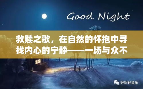 自然中的音乐救赎，探寻内心宁静之旅