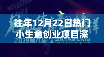 深度评测与介绍，往年12月22日热门小生意创业项目