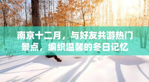 南京十二月好友游记，编织冬日温馨记忆