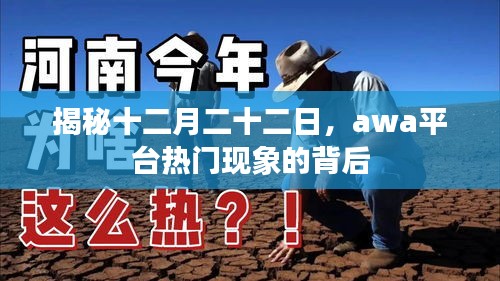 揭秘十二月二十二日awa平台现象背后的真相