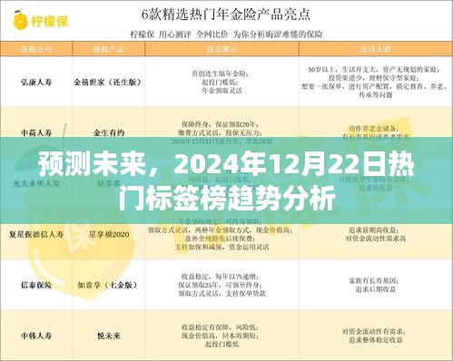 预测报告