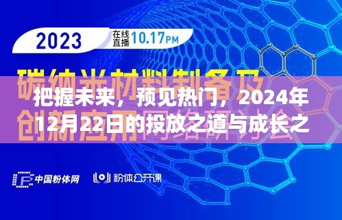 把握未来趋势，预见热门机遇，投放策略与成长之路（2024年12月22日）
