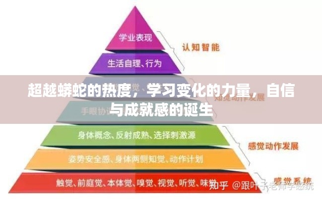 超越蟒蛇热度，学习成长的力量与自信成就的诞生