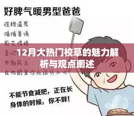 校草魅力揭秘，十二月热门校草观点与魅力解析