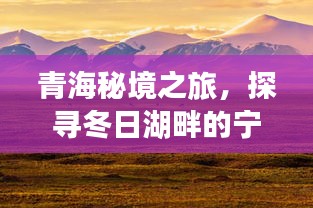 笨鸟先飞 第3页