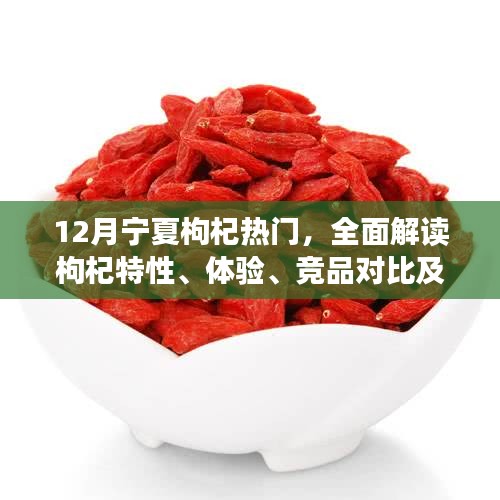 贵不期骄