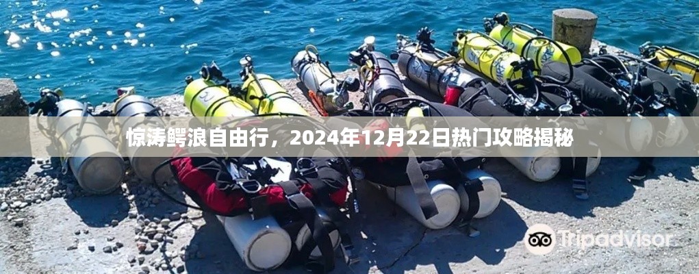 热门攻略揭秘