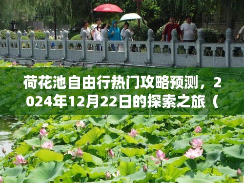 荷花池自由行探索之旅，热门攻略预测与观点分享（2024年12月22日）