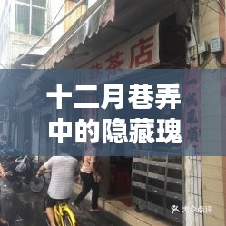 十二月巷弄中的隐藏瑰宝，专家与特色小店的奇妙邂逅