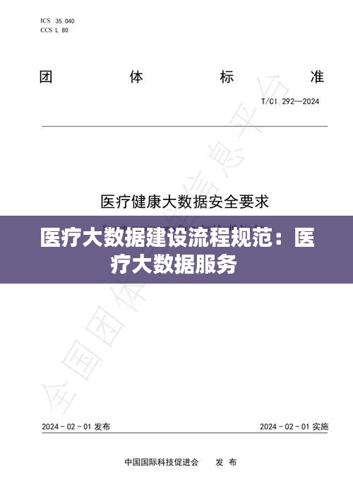 医疗大数据建设流程规范：医疗大数据服务 