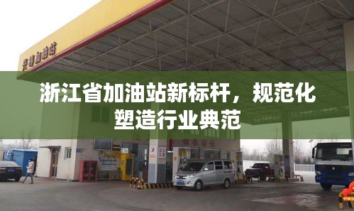 浙江省加油站新标杆，规范化塑造行业典范