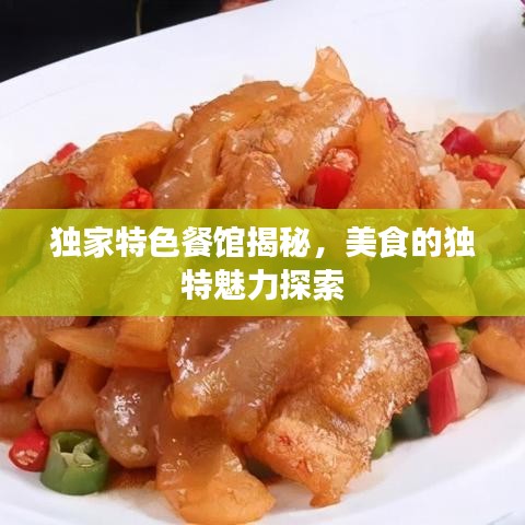 独家特色餐馆揭秘，美食的独特魅力探索