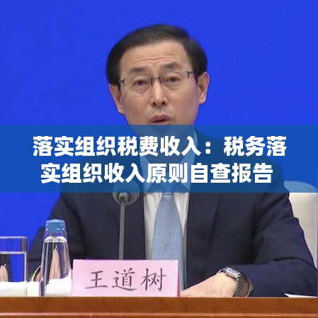 落实组织税费收入：税务落实组织收入原则自查报告 