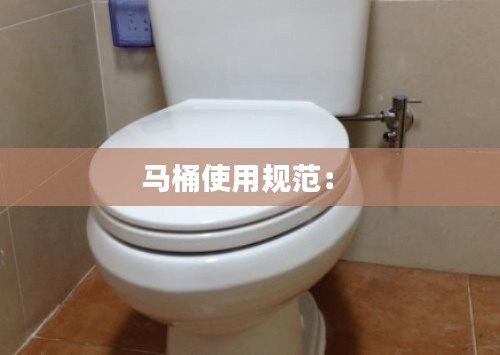 马桶使用规范： 