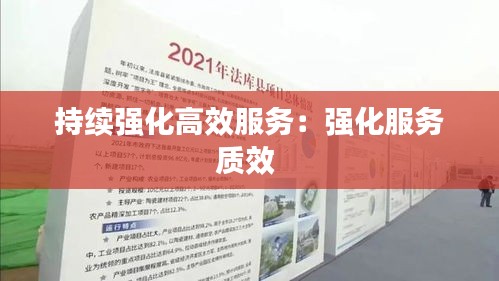 持续强化高效服务：强化服务质效 