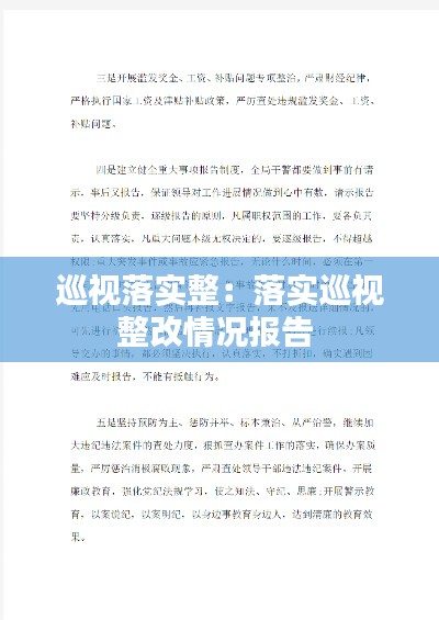 巡视落实整：落实巡视整改情况报告 