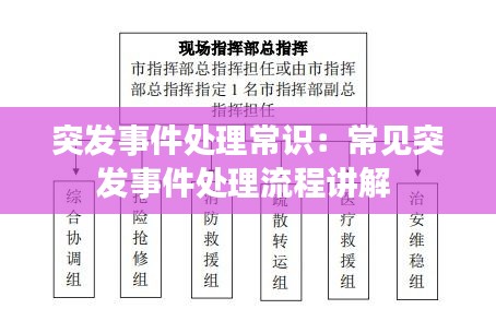 突发事件处理常识：常见突发事件处理流程讲解 
