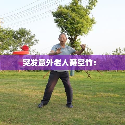 真独简贵 第3页