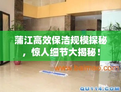 蒲江高效保洁规模探秘，惊人细节大揭秘！