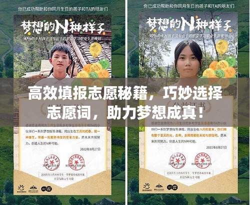 高效填报志愿秘籍，巧妙选择志愿词，助力梦想成真！