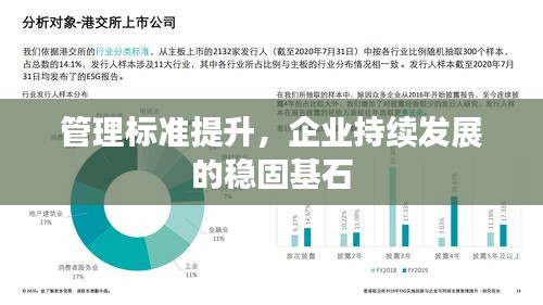 管理标准提升，企业持续发展的稳固基石