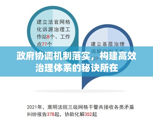 政府协调机制落实，构建高效治理体系的秘诀所在