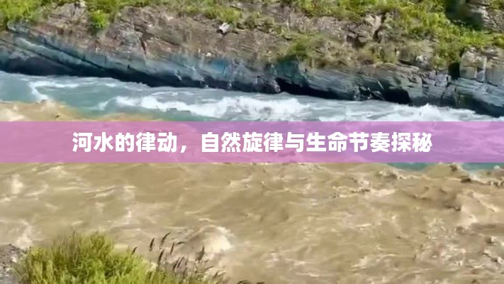河水的律动，自然旋律与生命节奏探秘