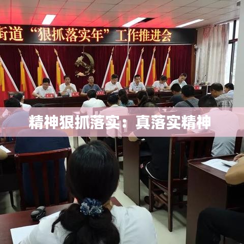精神狠抓落实：真落实精神 