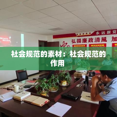 社会规范的素材：社会规范的作用 