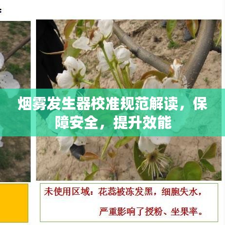 烟雾发生器校准规范解读，保障安全，提升效能