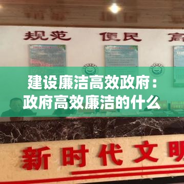 建设廉洁高效政府：政府高效廉洁的什么 