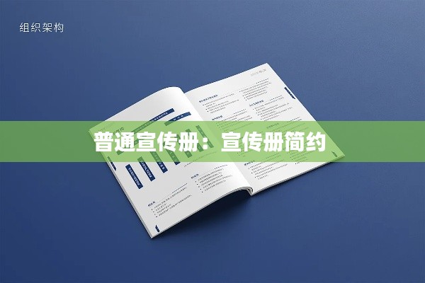 普通宣传册：宣传册简约 