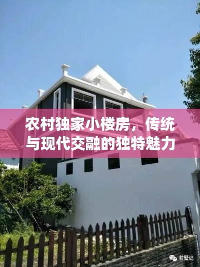 农村独家小楼房，传统与现代交融的独特魅力