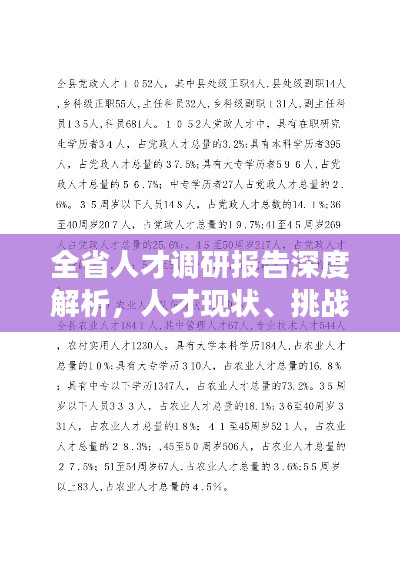 全省人才调研报告深度解析，人才现状、挑战与未来展望