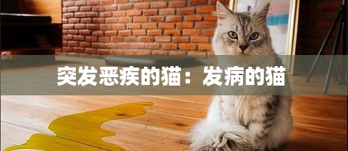 突发恶疾的猫：发病的猫 