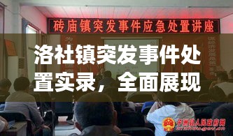 洛社镇突发事件处置实录，全面展现应急管理与应对之道