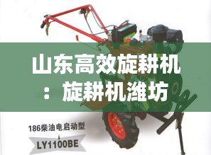 不翼而飞 第2页