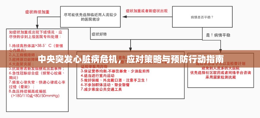 中央突发心脏病危机，应对策略与预防行动指南