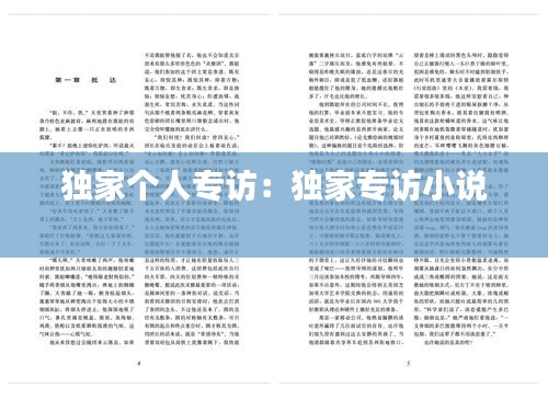 独家个人专访：独家专访小说 