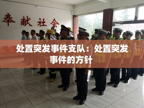 处置突发事件支队：处置突发事件的方针 