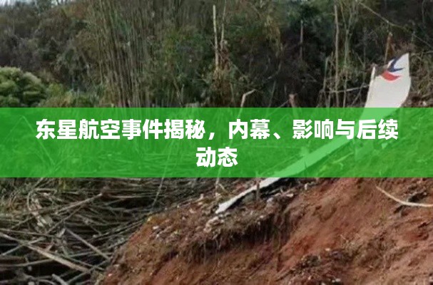 东星航空事件揭秘，内幕、影响与后续动态