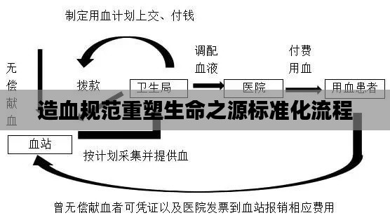 造血规范重塑生命之源标准化流程