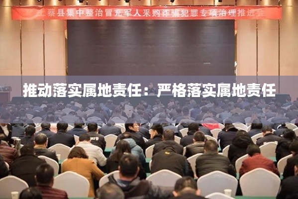 推动落实属地责任：严格落实属地责任 