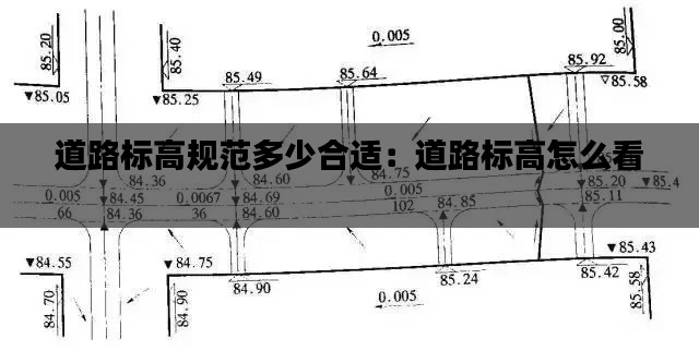道路标高规范多少合适：道路标高怎么看 