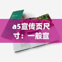a5宣传页尺寸：一般宣传页尺寸 