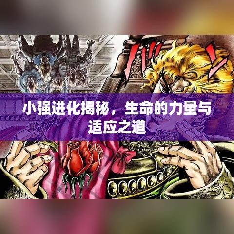 小强进化揭秘，生命的力量与适应之道