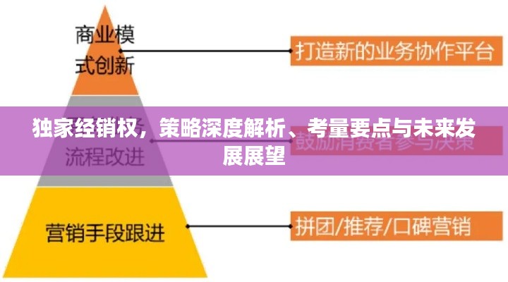 独家经销权，策略深度解析、考量要点与未来发展展望