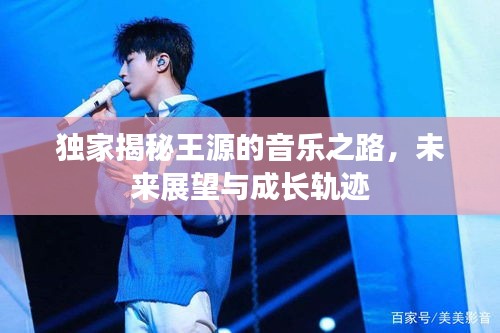 独家揭秘王源的音乐之路，未来展望与成长轨迹
