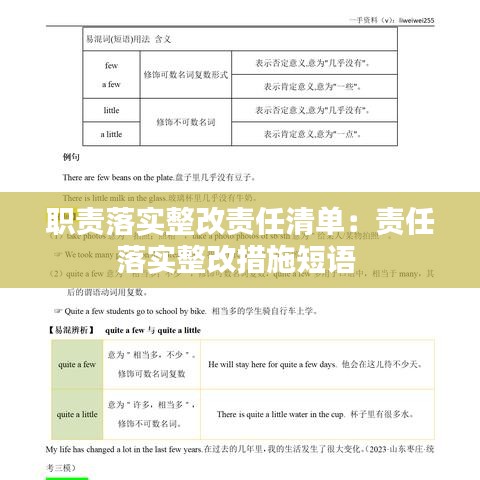 职责落实整改责任清单：责任落实整改措施短语 